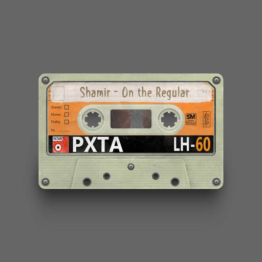 09358 - Shamir - On the Regular